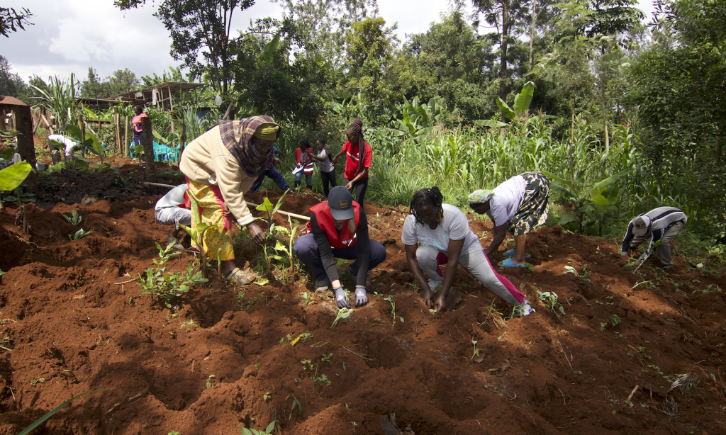 Ustawi-Afrika-regenerative-agriculture-rural-women-gender-equity