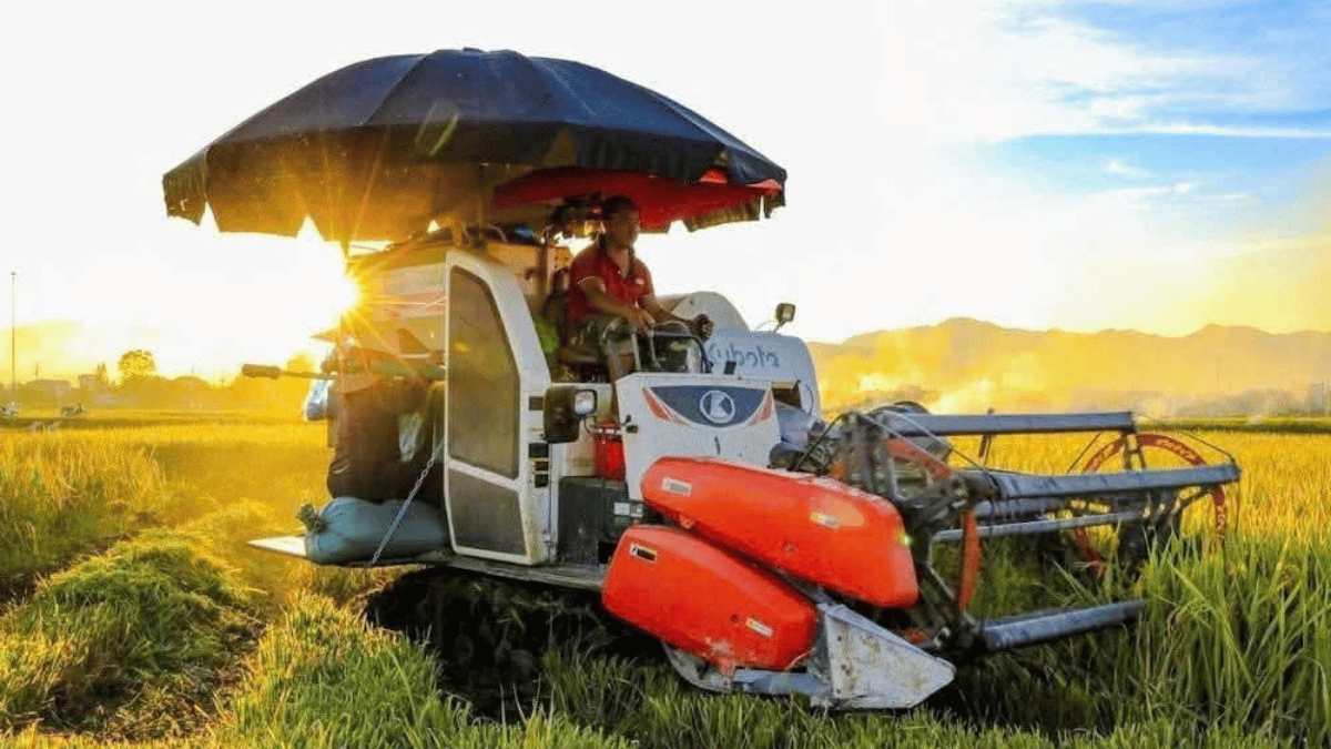 Đồng hành với nông dân vì an ninh lương thực quốc gia