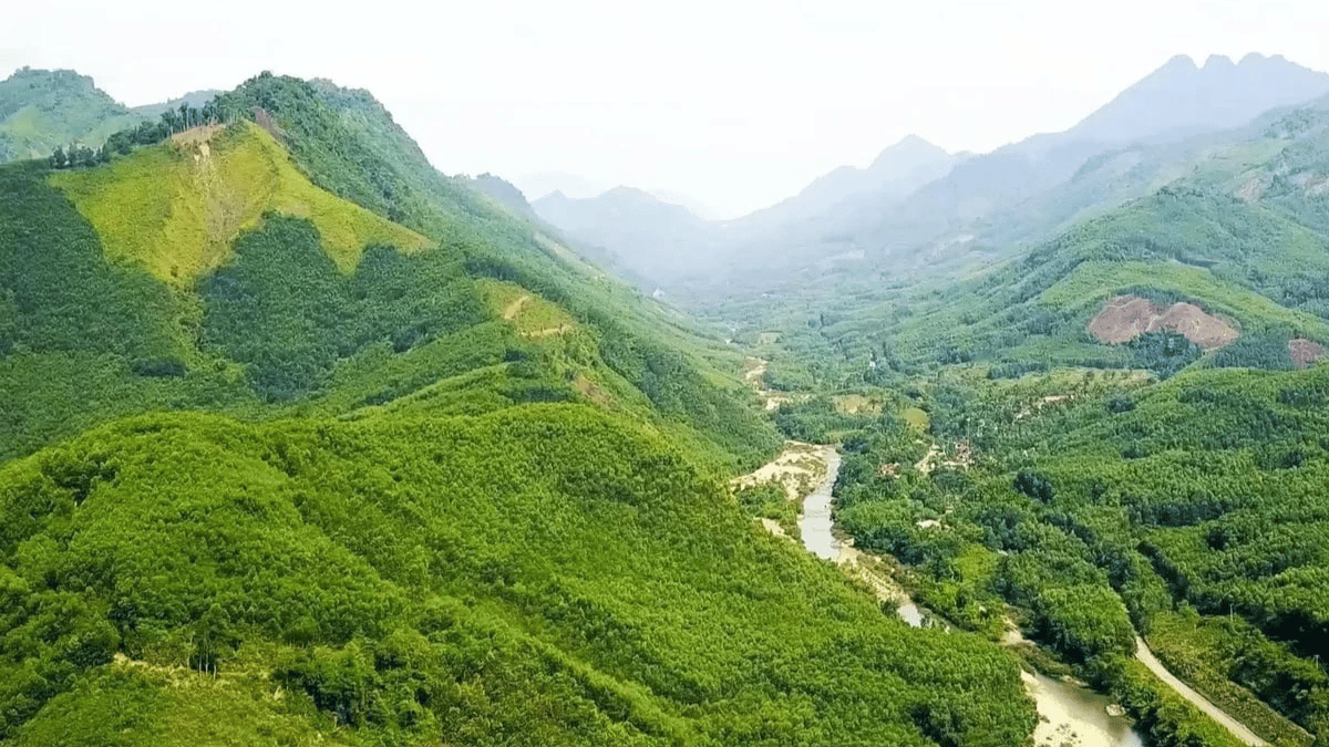 Tín chỉ carbon: Nguồn thu mới giúp Đà Nẵng thúc đẩy kinh tế xanh