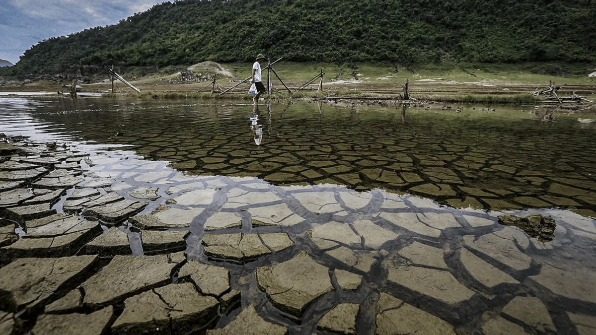 Phát triển nông nghiệp, bảo vệ môi trường thích ứng với biến đổi khí hậu